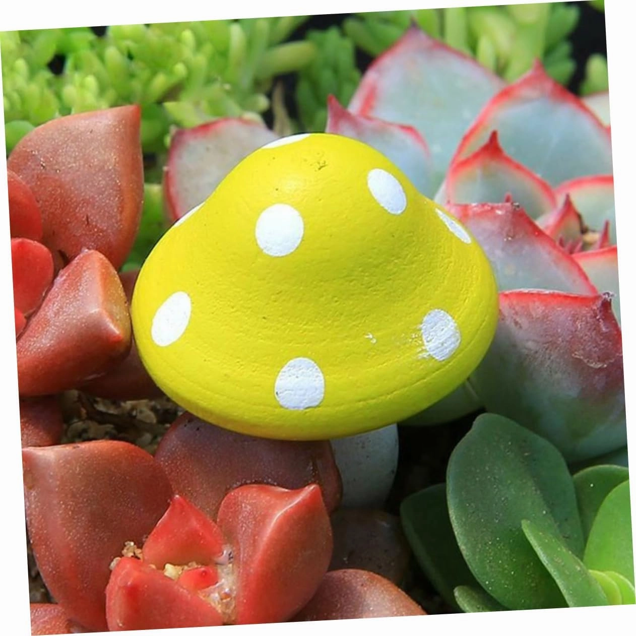 36pcs Mini Mushroom Ornaments Cute Wood Sculpture Miniature Decor for Play Houses Desks and Home Fashionable Accessories for Boys and Girls Friends