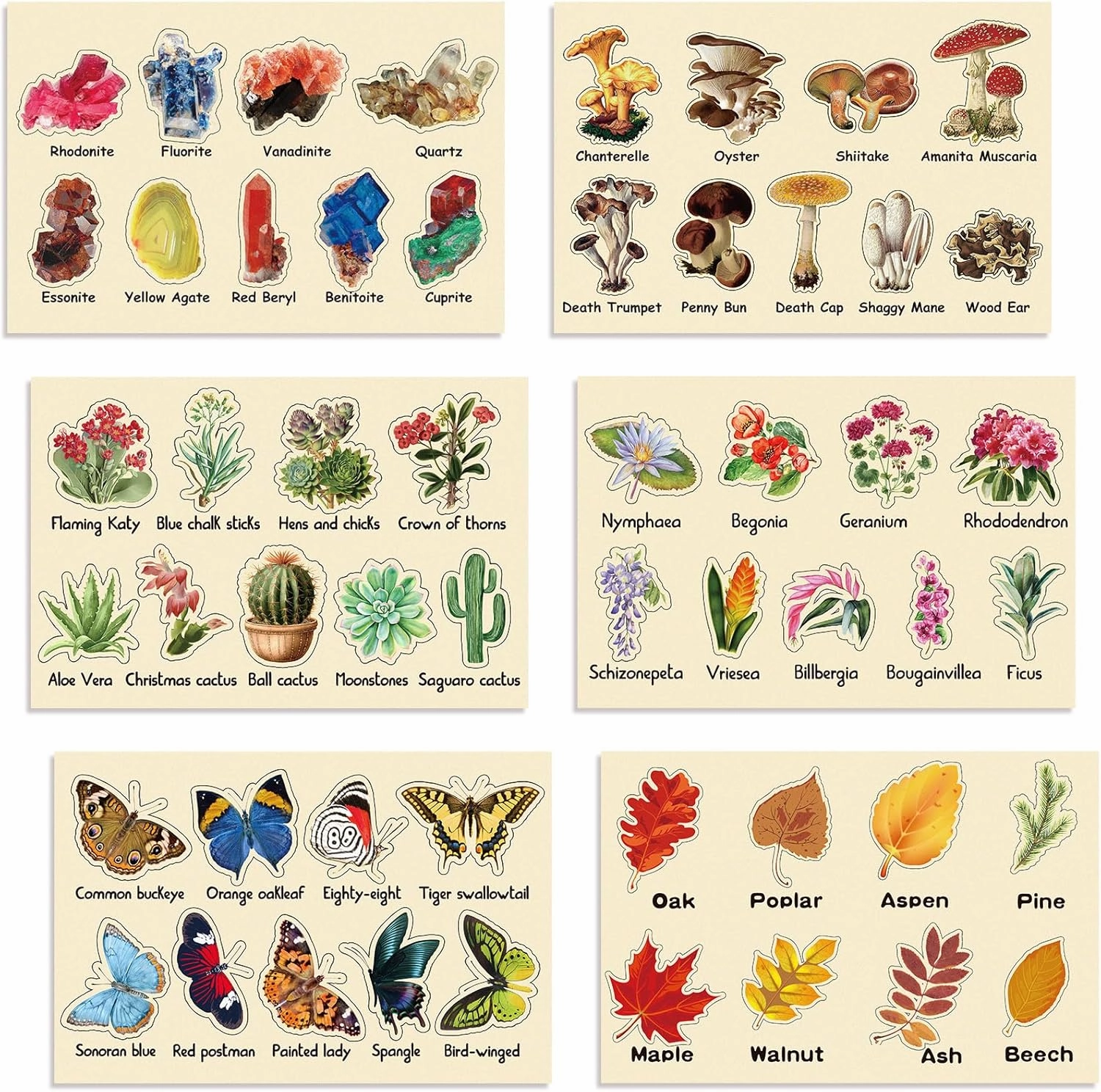 6 Set Wooden Puzzle for Toddler Early Educational Jigsaw Mushroom Flower Leaves Crystal Succulent Butterflies for Birthday Gift Education School Boy Girl