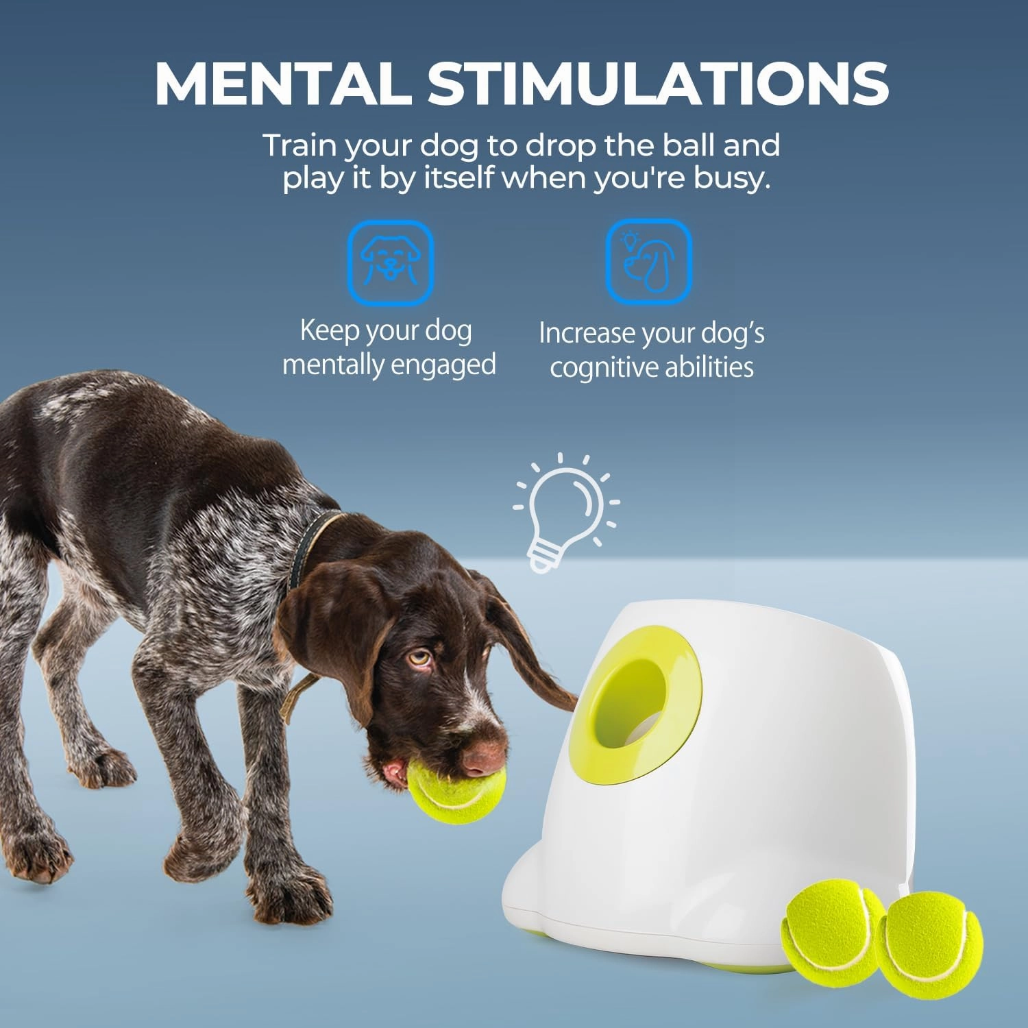 ALL FOR PAWS Automatic Dog Ball Launcher Maxi, Interactive Ball Thrower Dog Toys Includes 6pcs Tennis Balls for Large Dogs