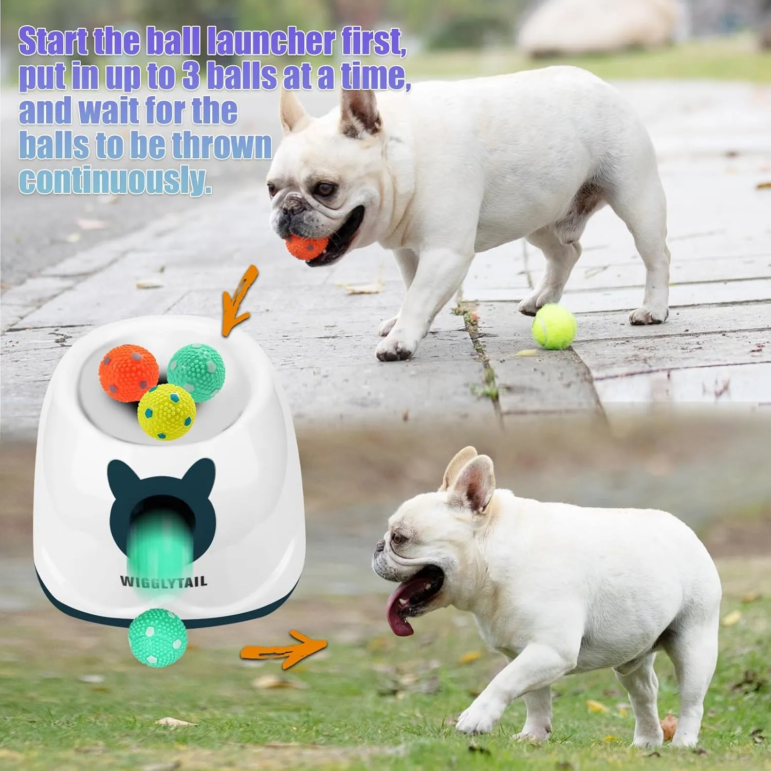 Automatic Ball Launcher for Dogs, Dog Ball Fetch Machine with Remote Control, Interactive Pet Self Playing for Small Dogs and Puppies with 10 Balls (2 inches)