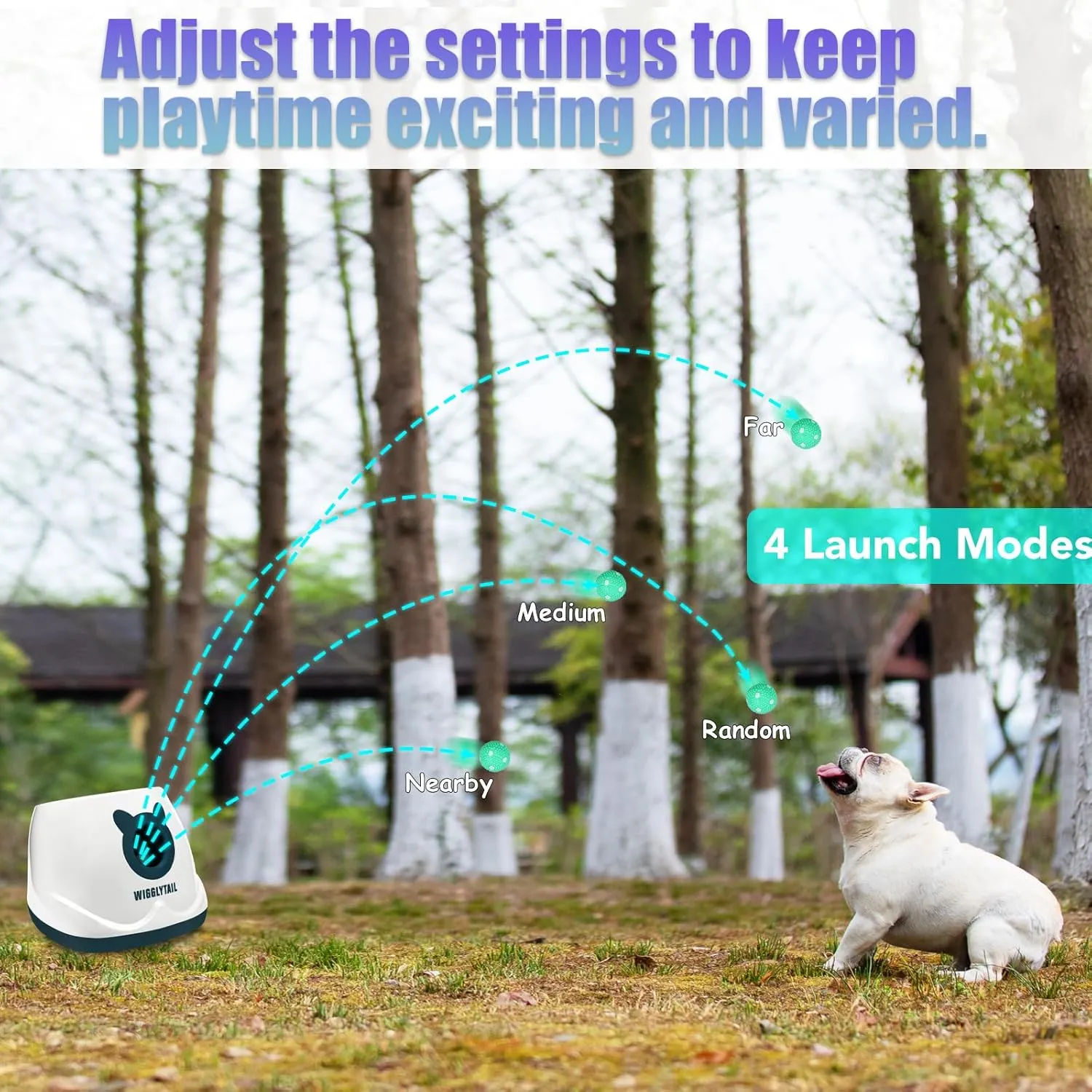 Automatic Ball Launcher for Dogs, Dog Ball Fetch Machine with Remote Control, Interactive Pet Self Playing for Small Dogs and Puppies with 10 Balls (2 inches)