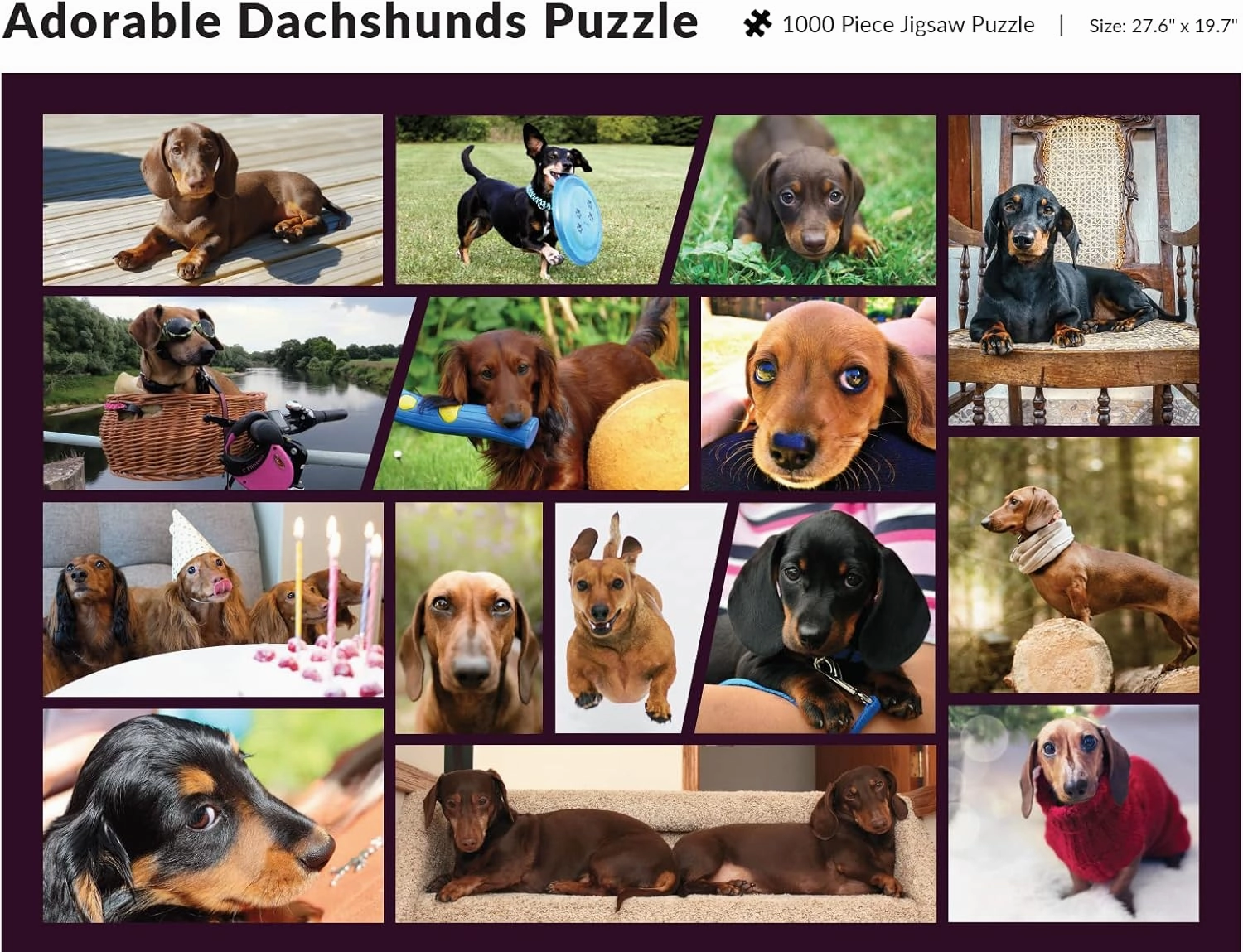 Better Me Dachshund Dogs Jigsaw Puzzle – 1000 Piece Puzzle for Adults & Teens, Perfect Dog Gift for Dachshund Lovers, Doxie Dad & Doxie Mama (1000 Pieces)