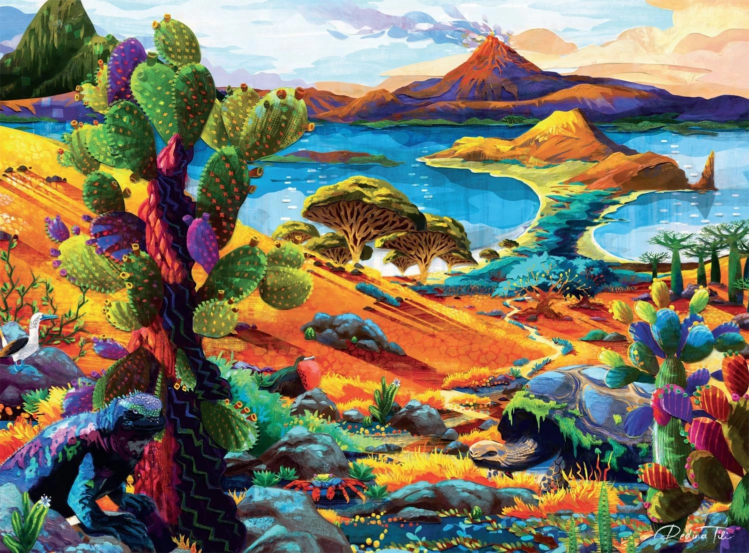 Buffalo Games - Redina Tili - Galapagos - 1000 Piece Jigsaw Puzzle for Adults - Challenging Puzzle Perfect for Game Nights - Finished Size is 26.75 x 19.75