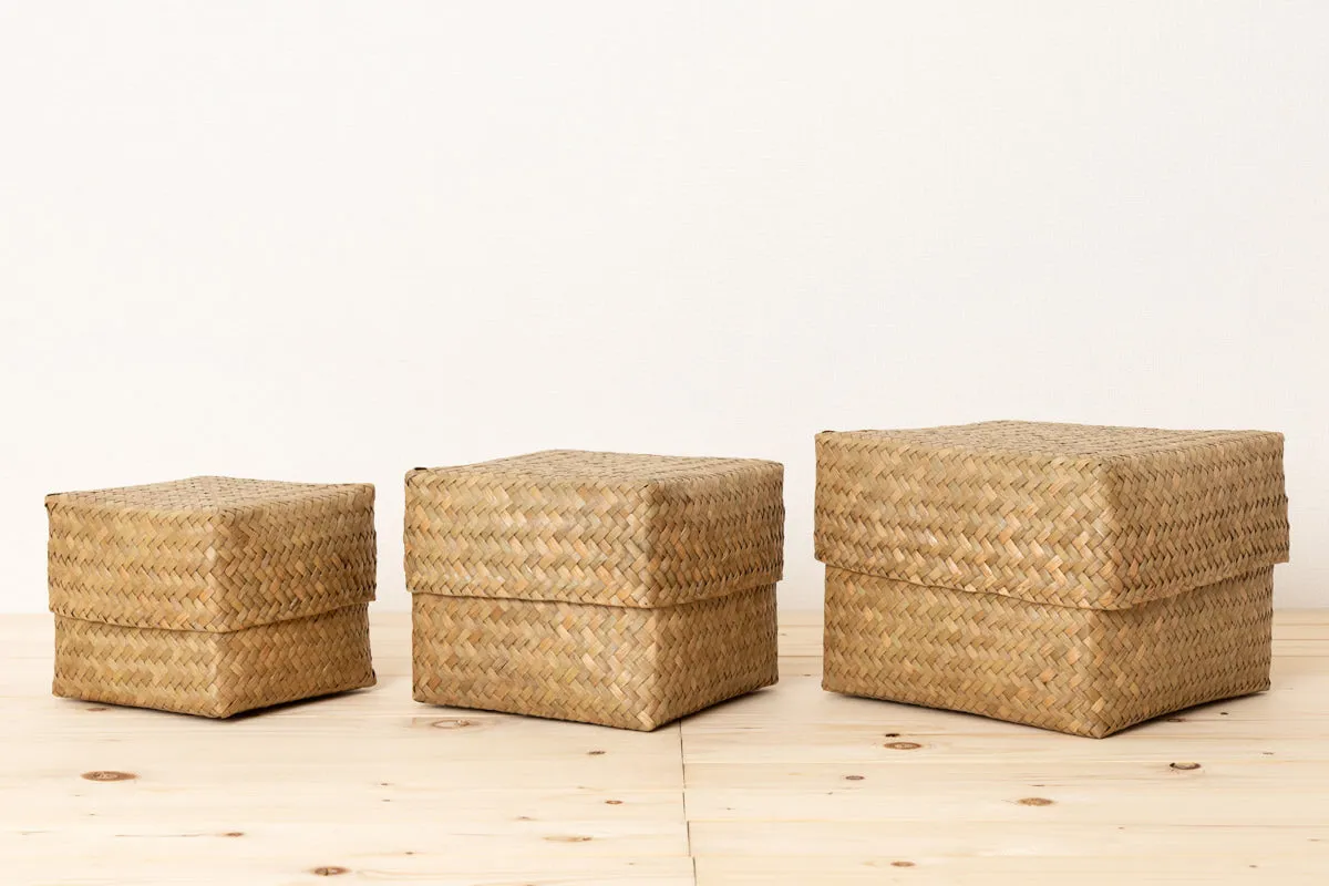 Compact Organizing Basket with Lid "Cube" / Krajood Grass / THA 3115128