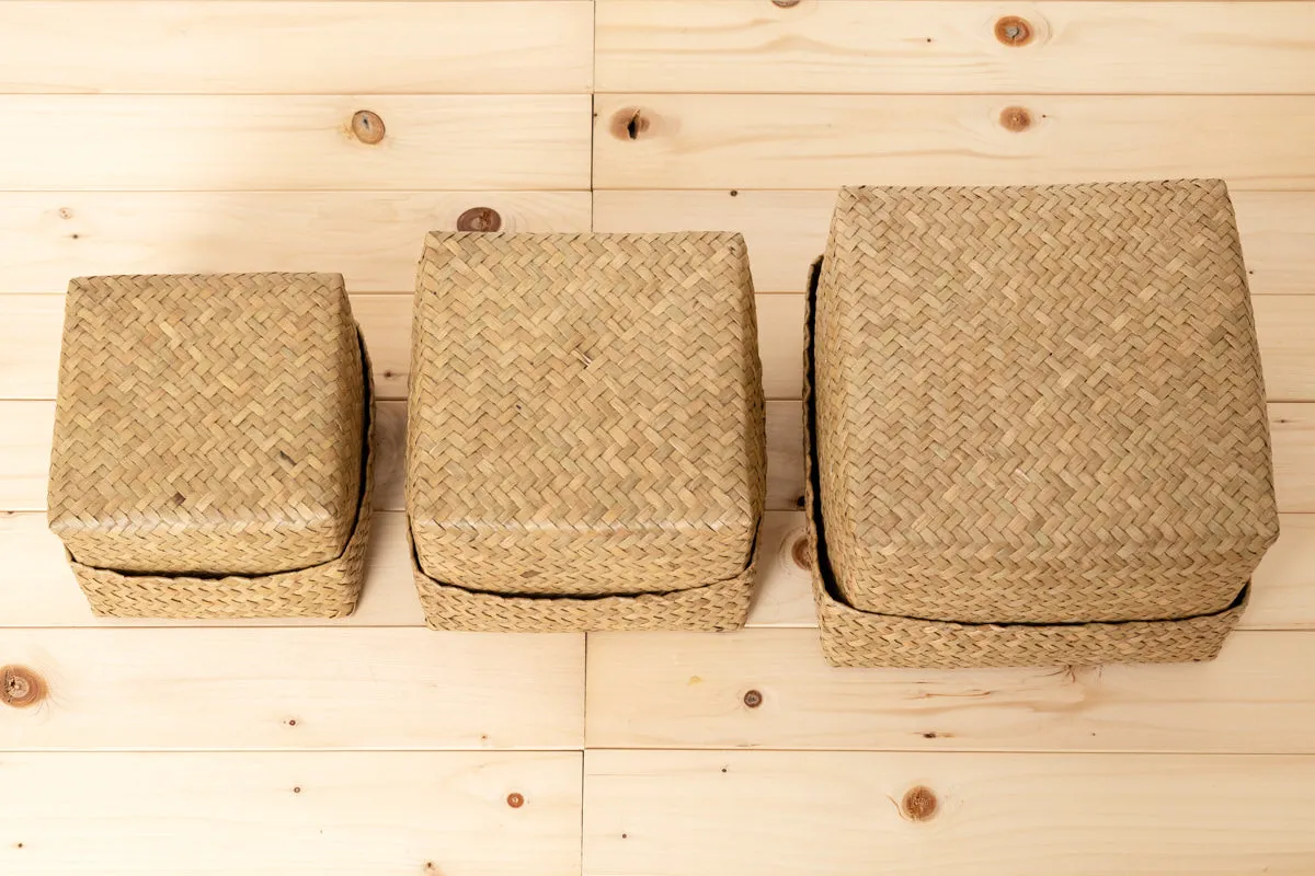 Compact Organizing Basket with Lid "Cube" / Krajood Grass / THA 3115128