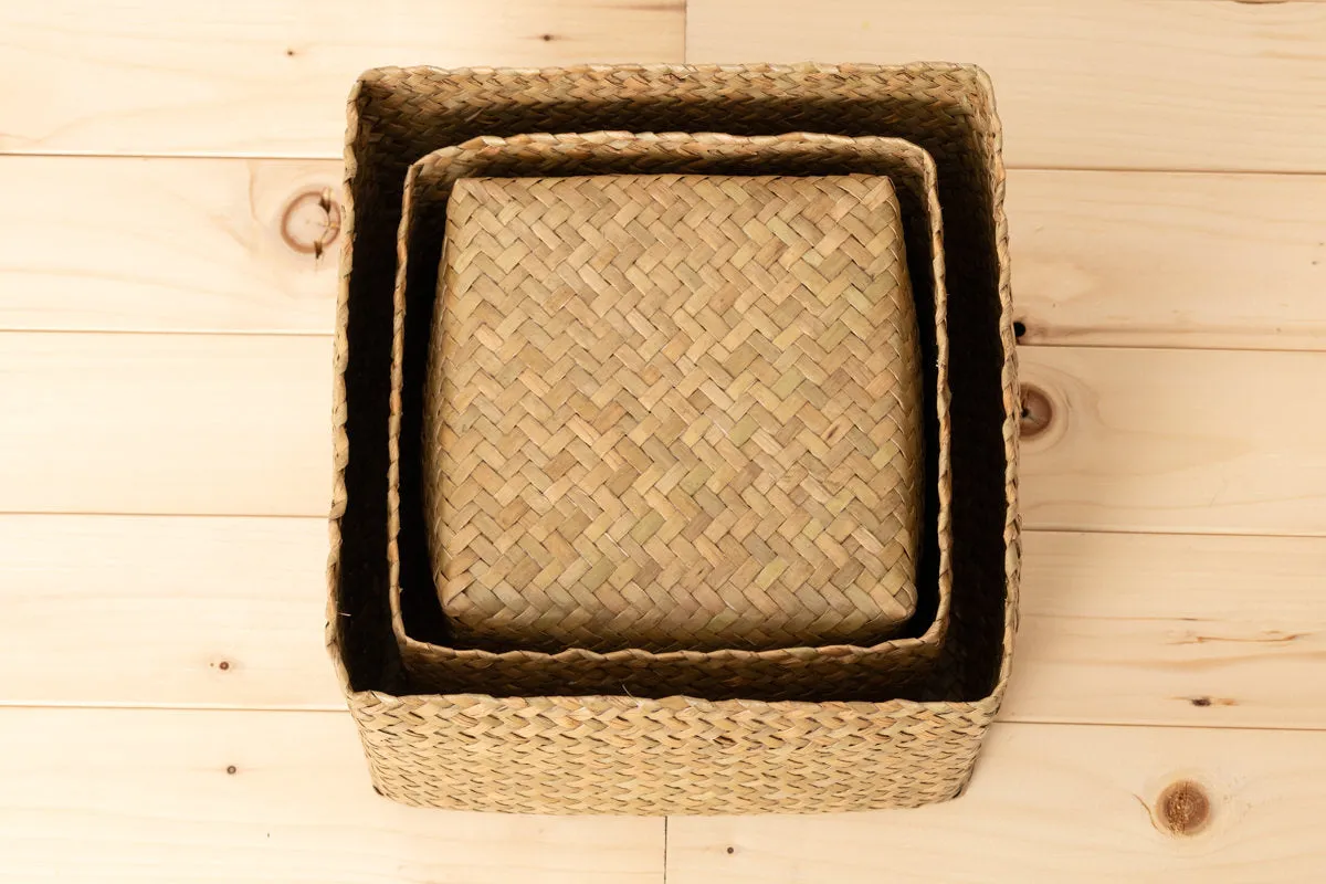 Compact Organizing Basket with Lid "Cube" / Krajood Grass / THA 3115128