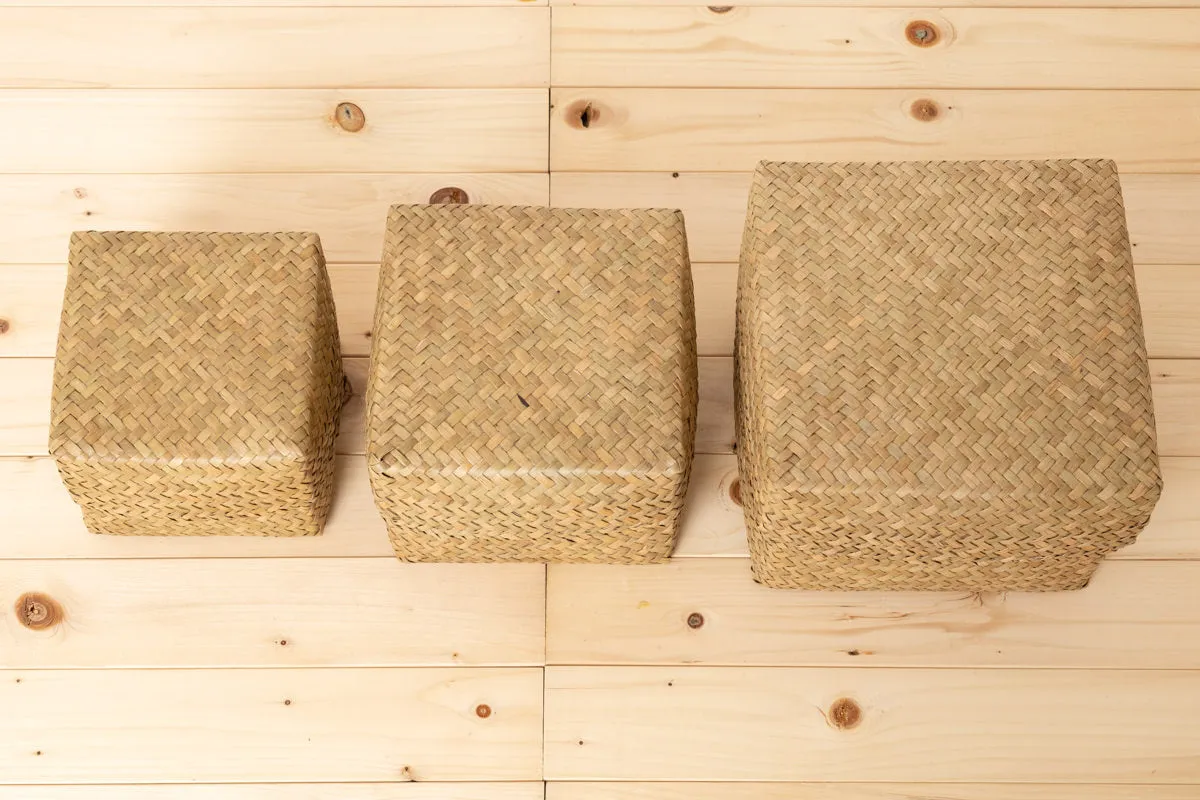Compact Organizing Basket with Lid "Cube" / Krajood Grass / THA 3115128