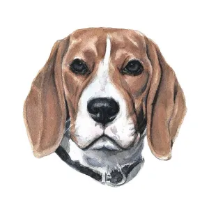 Cute Beagle Head 3D Wood Jigsaw Puzzle