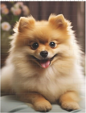 Cute Pomeranian Dog Building Block Puzzle Personalized Building Bricks for Adults Square Shaped Block Puzzle Building Brick Block Puzzles Valentine's Day Gifts for Home Decor Brick Puzzle