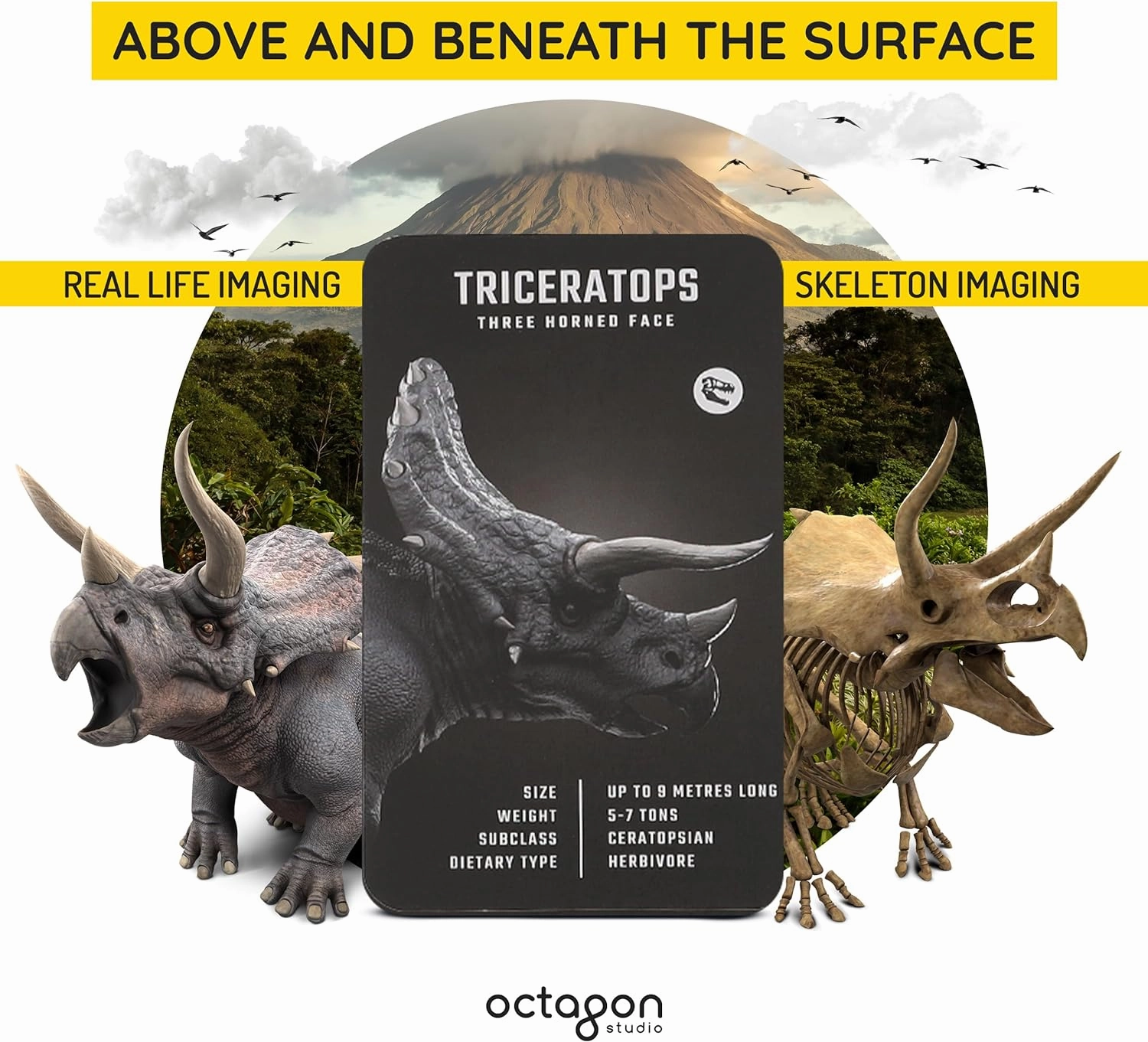 Dinosaur 4D  Augmented Reality Cards – 20 3D Dinosaurs with Free App, Educational Gift for Kids Ages 5 , Ideal for Classrooms, Homeschooling, STEM Learning and Easy to Use on Phones or Tablets