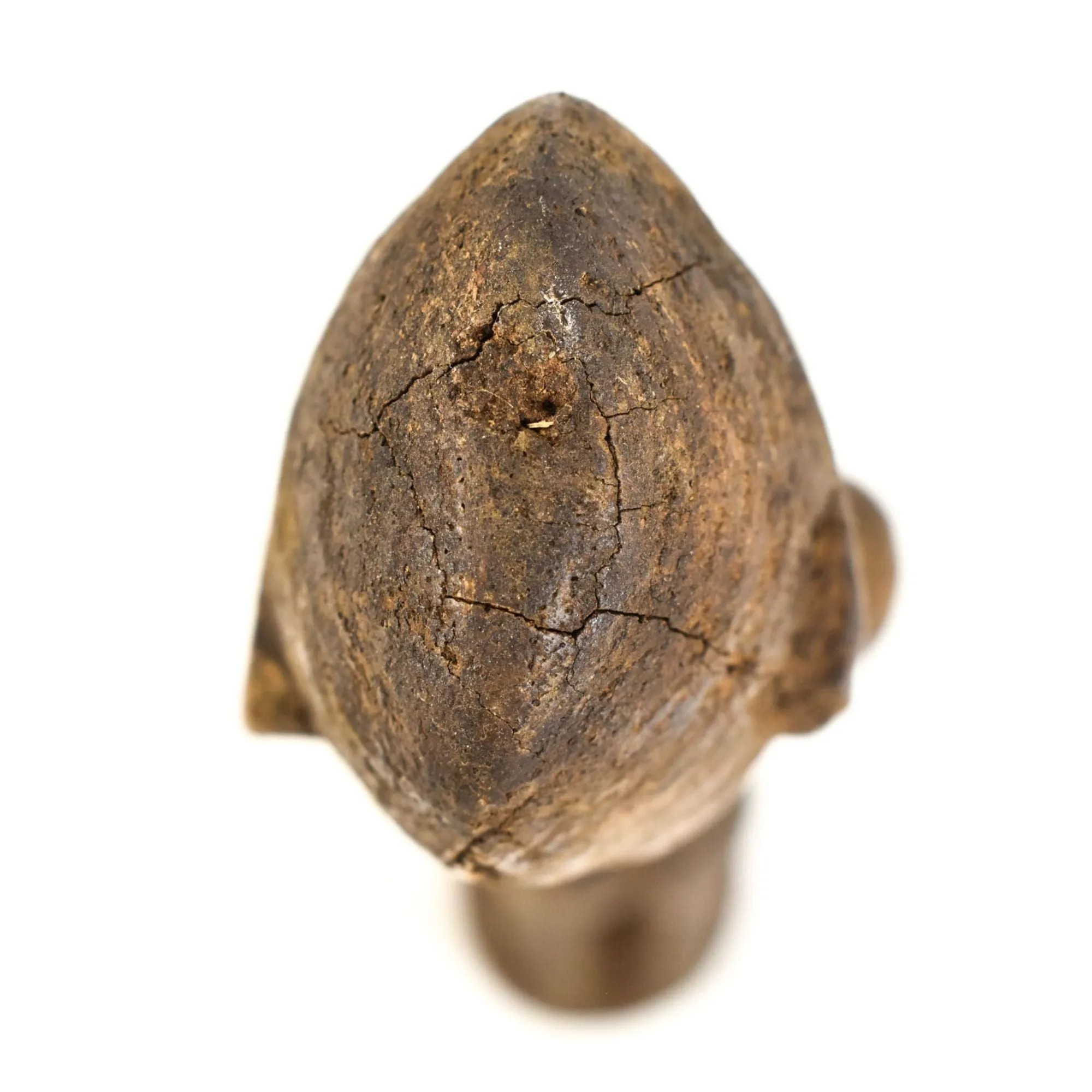 Dogon Male Power Miniature Figure 16.6 Inch Mali