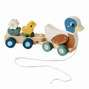 Duck Train Set - 12M 
