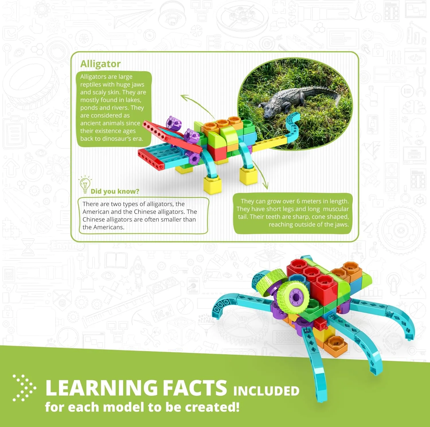 Engino: Qboidz Alligator - 5 Model Brick Building Set, Toy Construction, Coloring & Math Activities, Stack & Click Assembly, STEM Play-Learn, Kids 3 