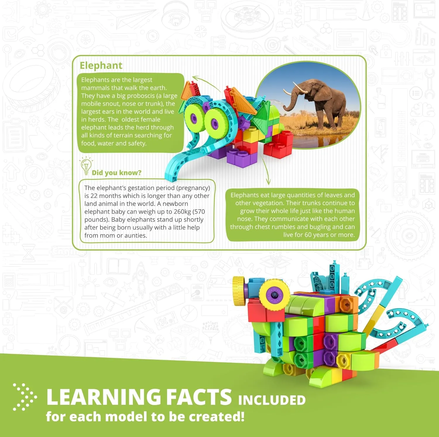 Engino: Qboidz Elephant - 10 Model Brick Building Set, Toy Construction, Coloring & Math Activities, Stack & Click Assembly, STEM Play-Learn, Kids 4 