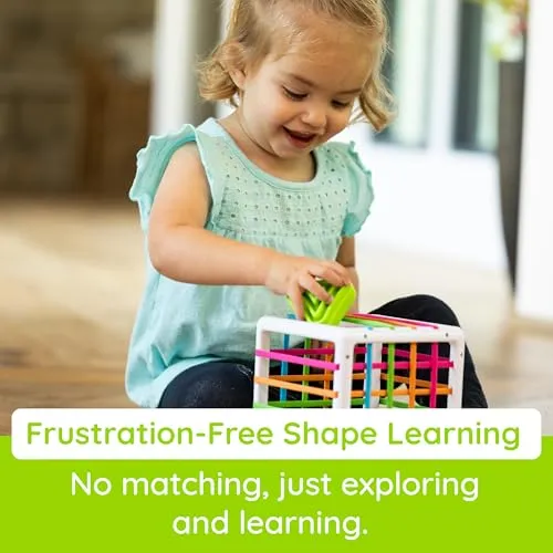 Fat Brain Toys InnyBin Shape Learning Toys, Sensory Toys for Babies and Toddlers, Baby Toys Ages 10 Months 