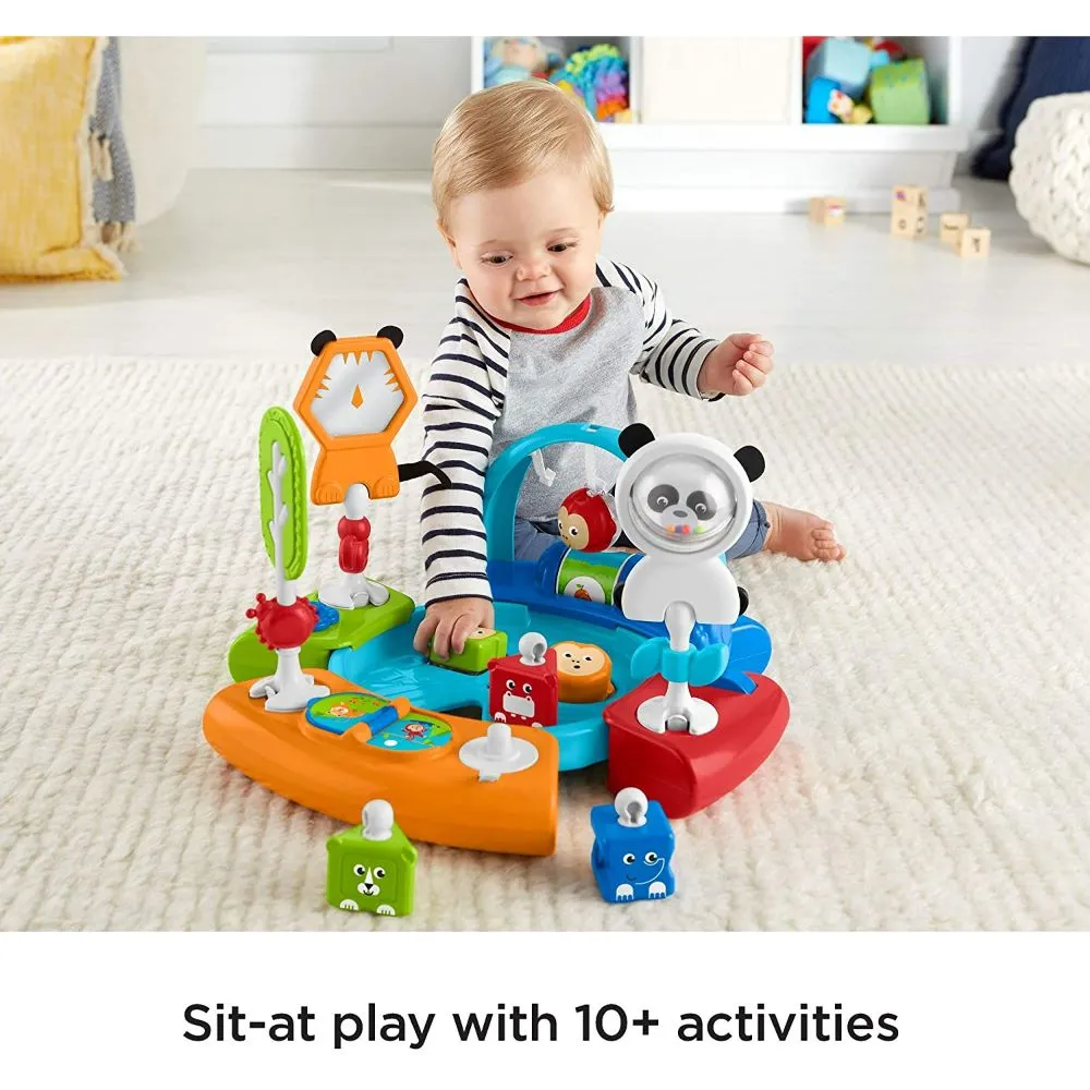 Fisher Price BG 3 in 1 SpinSort Activity Centre