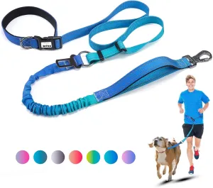 Heavy Duty Hands Free Dog Leash, 4-6 FT Reflective Adjustable Waist Dog Leash Belt with Padded Handles, Shock Absorbing Bungee and Car Seat Belt for Large Medium Dogs (Gradient Cobalt, L)