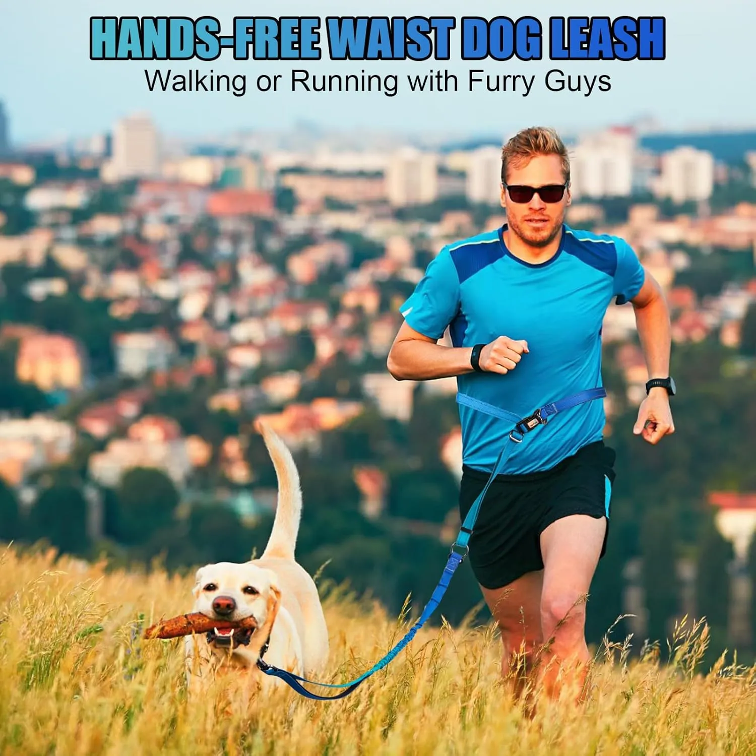 Heavy Duty Hands Free Dog Leash, 4-6 FT Reflective Adjustable Waist Dog Leash Belt with Padded Handles, Shock Absorbing Bungee and Car Seat Belt for Large Medium Dogs (Gradient Cobalt, L)