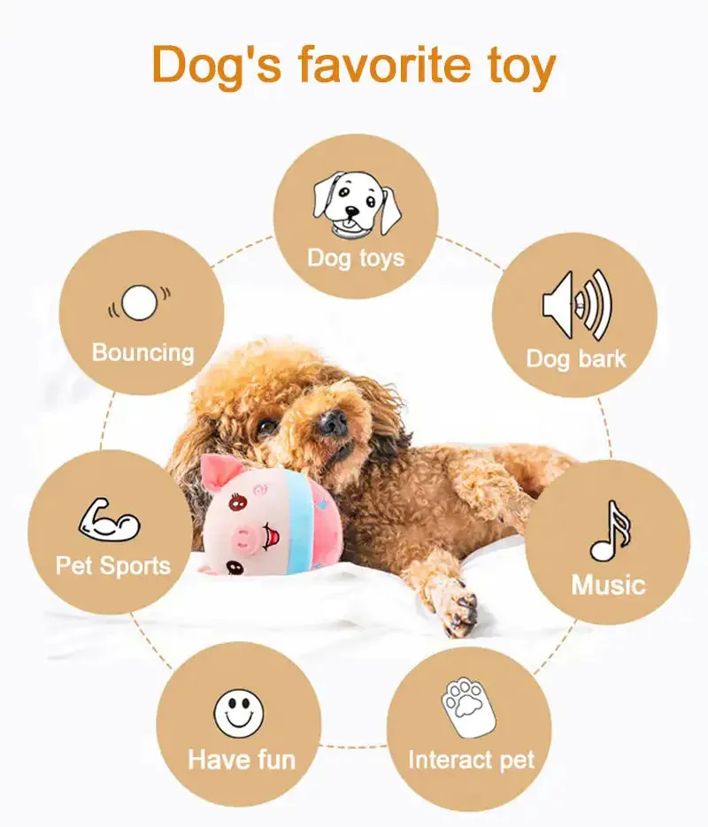 Interactive Dog Toy