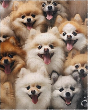Jigsaw Puzzle 500 Piece for Adults Pomeranian Dogs Puppy,Cute Animal Wooden Puzzles for Youth Children Home Decor Funny Game Best Gift Preschool Toys