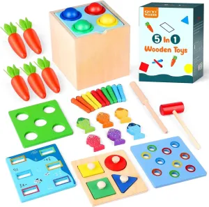 Montessori 5 in 1 Wooden Toys/3y /Educational Toy