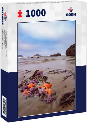 Noah Jigsaw Puzzle Colorful Star Fish Exposed on The Oregon Coast at Extreme Low Tide 1000 Pieces