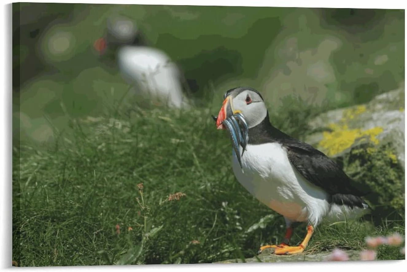 Puzzle 500 Pieces Cute Puffins Bird Fish Mouth Holiday Fun and Modern Summer Home Decor