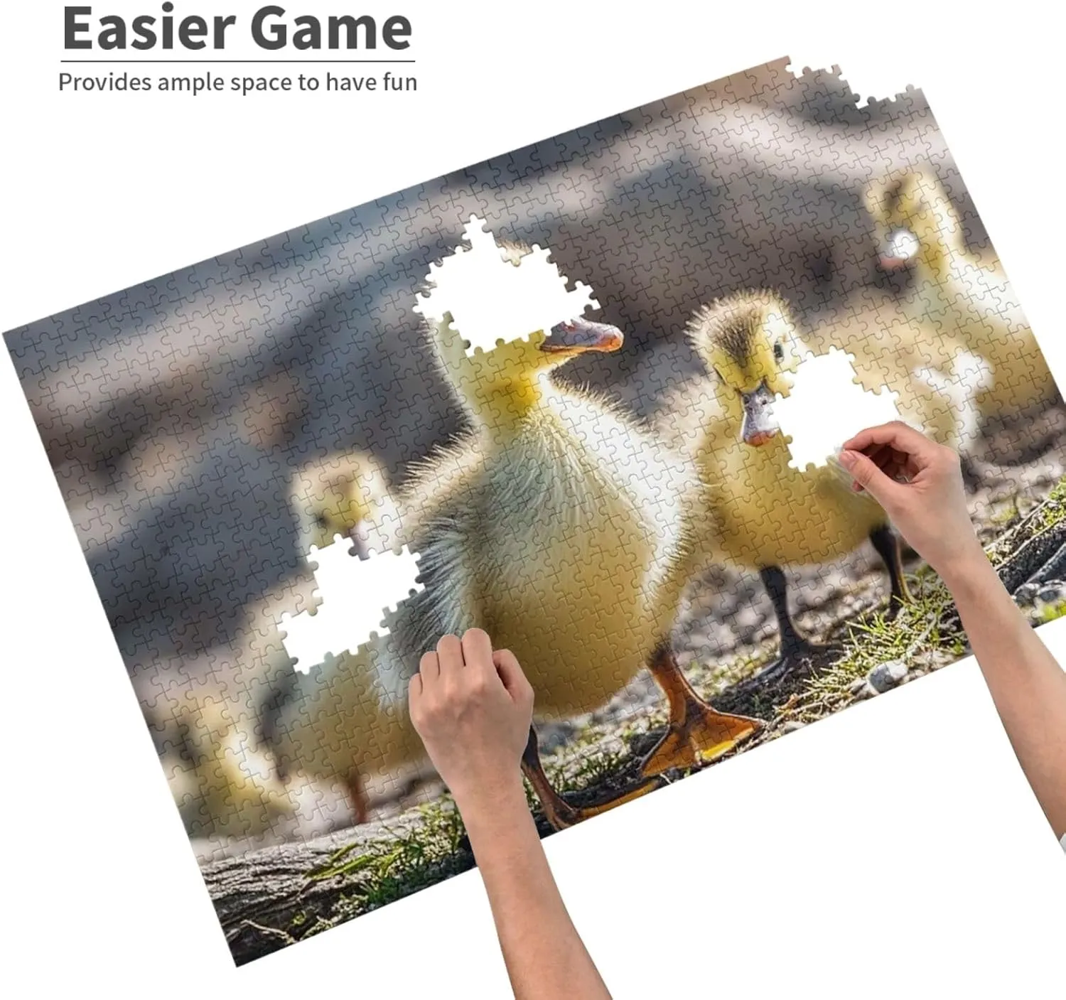 Puzzles 1000 Pieces (29.5" X 19.7") Personalized Jigsaw Puzzles Cute Baby Ducks Puzzle Challenging Photo Puzzle with Storage Bag Picture Puzzle for Adults Family