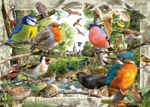 Ravensburger Our Feathered Friends 1000 Piece Jigsaw Puzzle for Adults | Unique, Pieces | Anti-Glare Surface | FSC Certified, Eco-Friendly | Amazon Exclusive