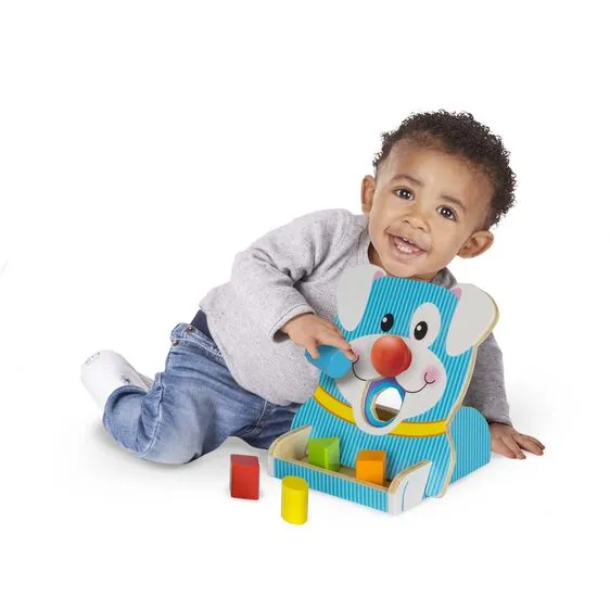 Spin & Feed Shape Sorter