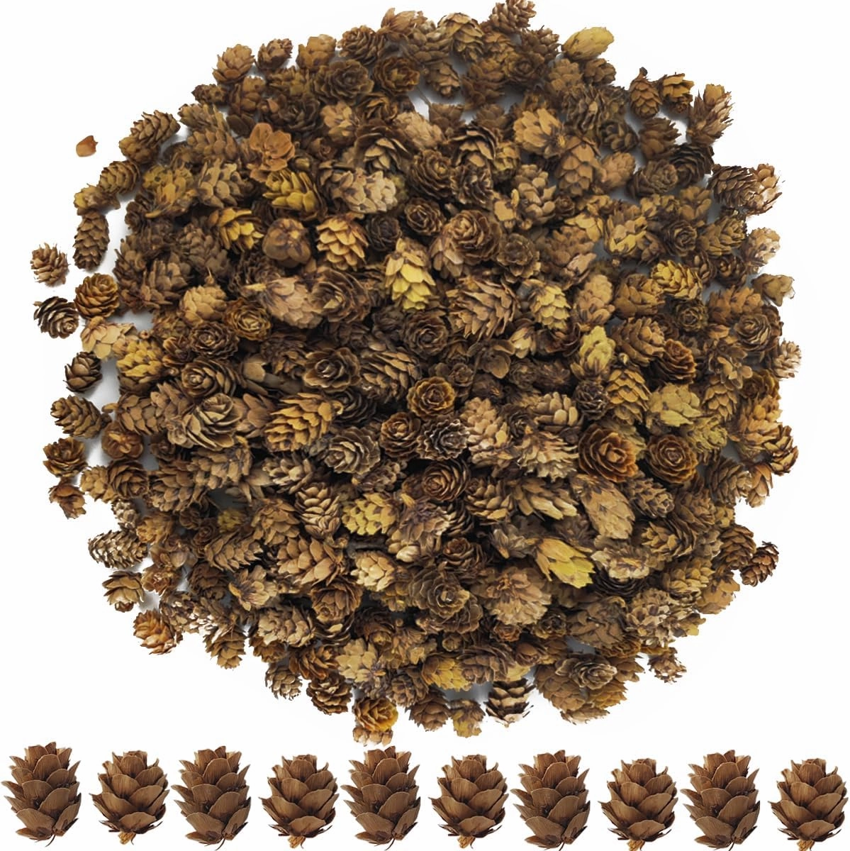 TIHOOD 320PCS 1.18"-1.97" Christmas Natural Mini Pine Cones in Bulk Christmas Natural Pinecones Ornaments for for DIY Crafts,Home Decoration,Fall and Christmas,Wedding Decor