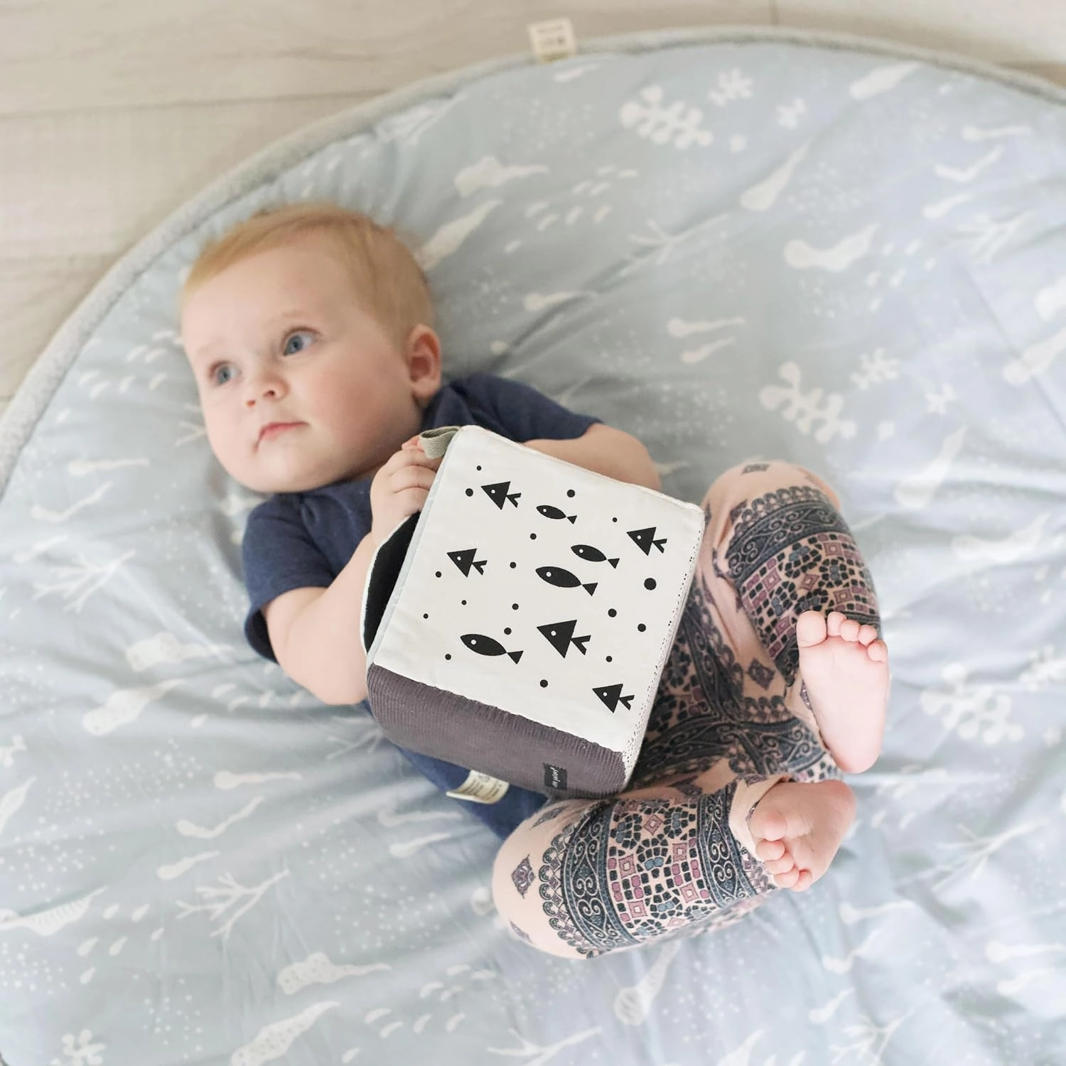 Wee Gallery Soft Block, Baby Sensory Toy with High-Contrast Graphics, Organic Soft Fabric Soft Blocks, Crinkle Flap and Textures, Tummy Time Activity for Babies and Toddlers - Ocean Animals